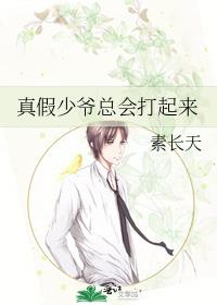 真假少爷总会打起来免费阅读